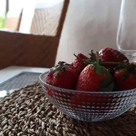 Casa vacanze Casa Pany